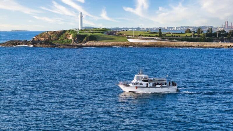 Wollongong Deep Sea Fishing Charter with Breakfast - Weekday - Who Should Consider This Tour?