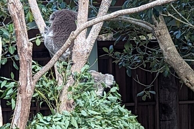 Wollongong Sightseeing Guided Day Tour - Introduction