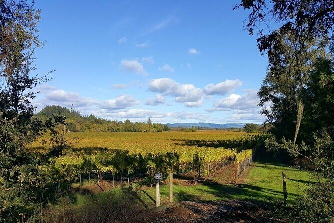 Women Only 5 day California Vineyards, Waves and Wine Tour - Who Should Consider This Tour?