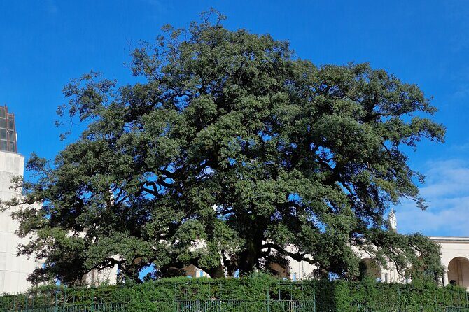 Wonderful Private Full Day Tour in Fátima, Nazaré, Óbidos - Final Thoughts