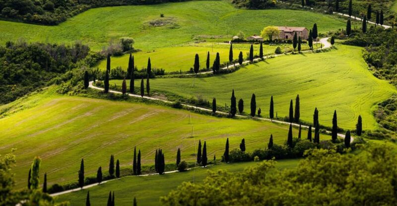 Wonderful Tuscan Wine Tour: Siena, Chianti and San Gimignano - Key Points