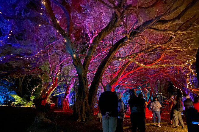 Wonderland by Night Norfolk Island - Wondering about the "Wonderland by Night" tour on Norfolk Island? Here’s a detailed look at what this experience offers, based on recent reviews and available info. While it’s not a sightseeing tour in the traditional sense, it’s a gentle, atmospheric journey into the island’s stories, lights, and folklore that many visitors find memorable.