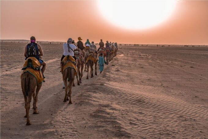 Wonderlust Camel Safari With Rumi Caravan of Thar Desert - Tips for Camel Safari
