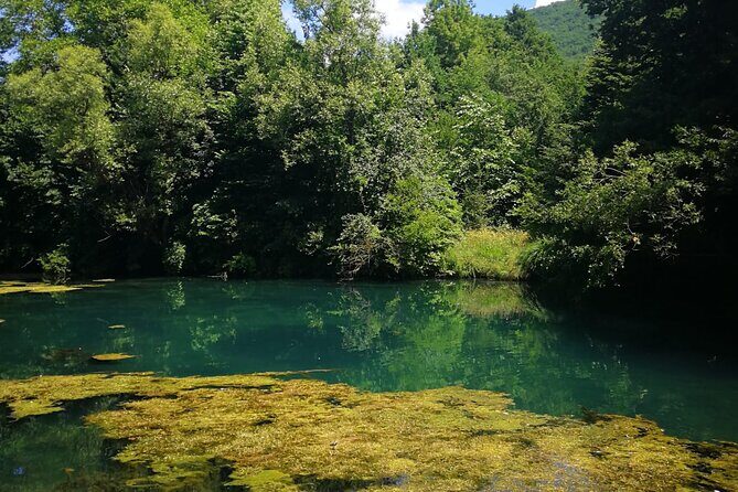 Wonders of Eastern Serbia a Full Day Tour from Belgrade - Who Will Love This Tour?