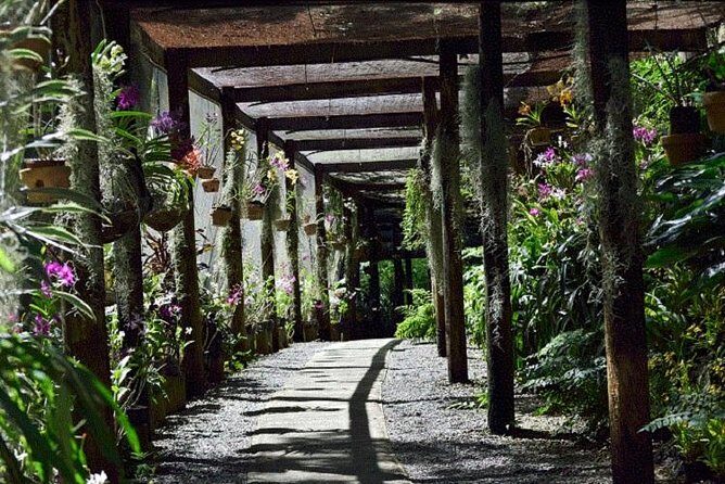 Wonders of Nadi Tour - Hindu Temple, Sleeping Giant Gardens, Markets & Shopping - Authentic Experiences and Review Highlights