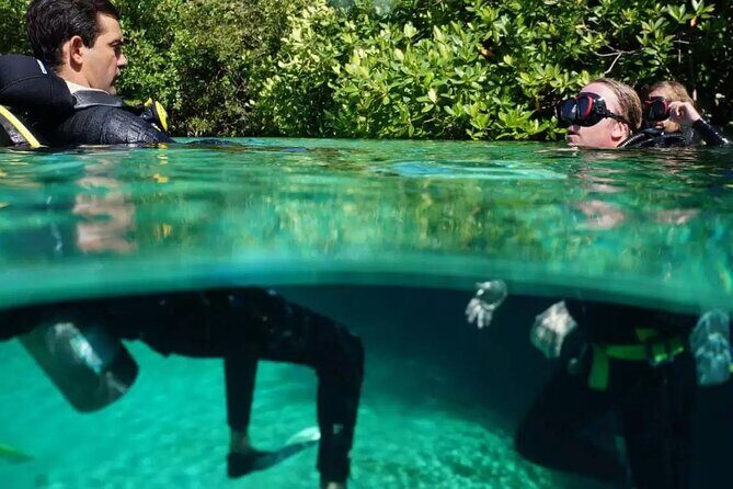 Wonders of the Underwater World: Discover Scuba Diving in Tulum - Final Thoughts: Is It Worth It?