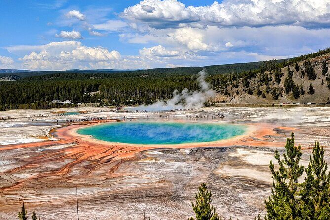 Wonders of Yellowstone Lower Loop Private Tour with Lunch - Key Points