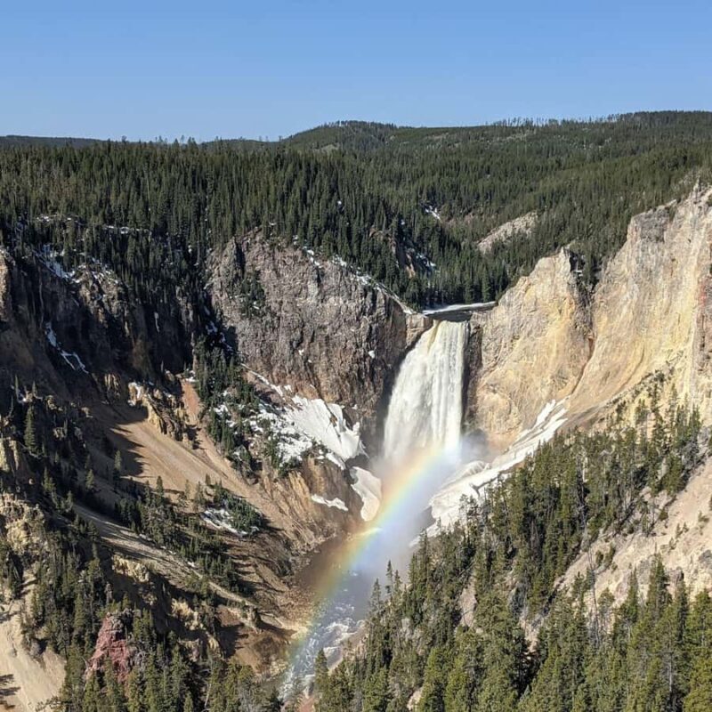 Wonders of Yellowstone: Private Lower Loop Tour with Lunch - Key Points