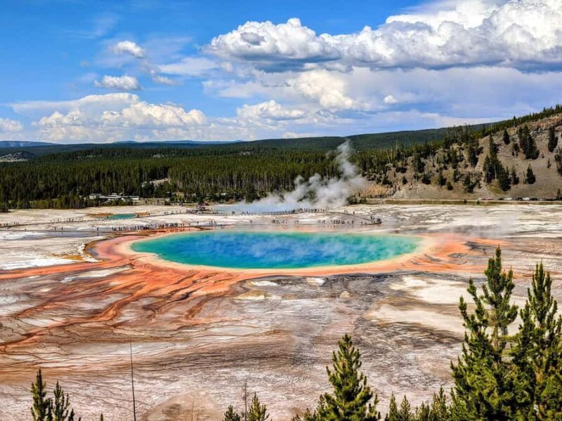 Wonders of Yellowstone: Private Lower Loop Tour with Lunch - Who Will Love This Tour?