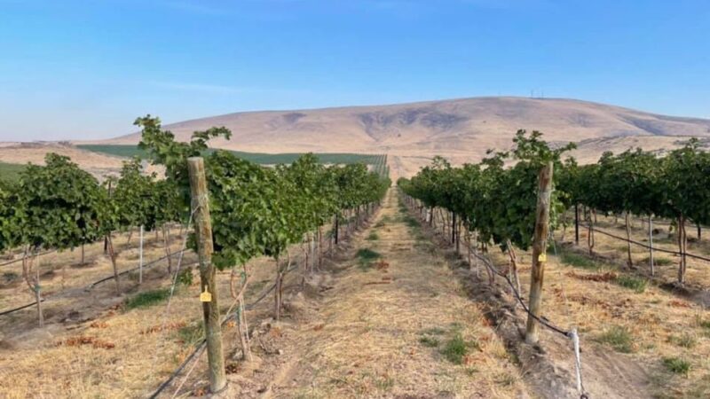 Woodinville Wine Country: Warehouse District Wine Pass - The Experience and Authenticity