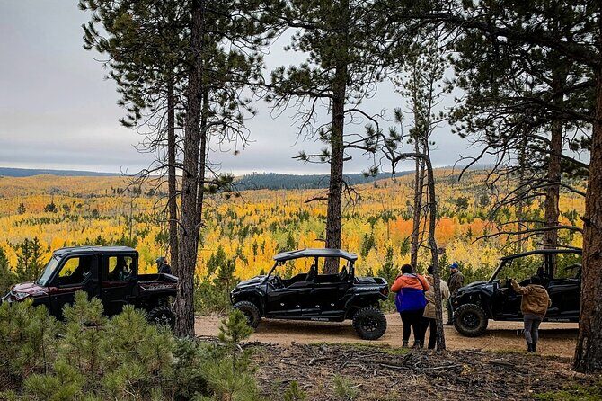 Woodland Park: 2 Hour Guided Wildlife Sunset UTV Tour - You Drive - Key Points