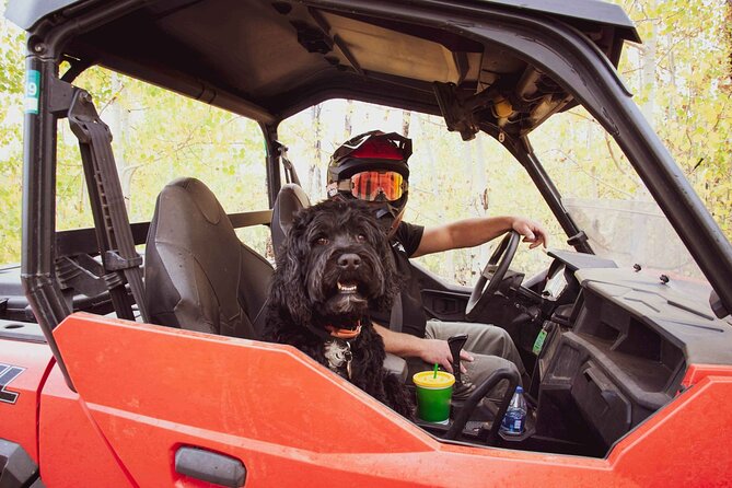 Woodland Park: 4-Hour Self-Guided Rocky Mountain Polaris UTV Tour - Booking and Pricing Information