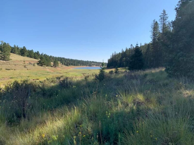 Woodland Park: Snowshoeing Guided Hike - Discovering the Lesser-Known Colorado Trail