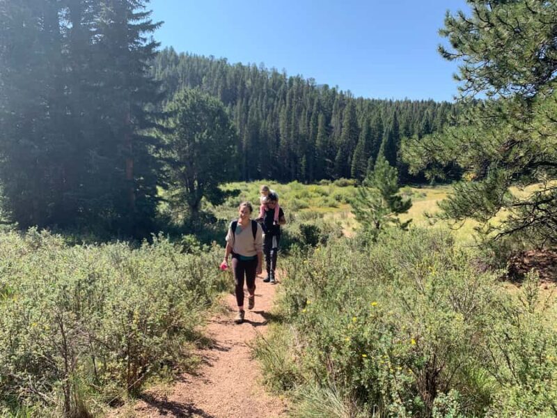 Woodland Park: Snowshoeing Guided Hike - Why Choose This Tour?