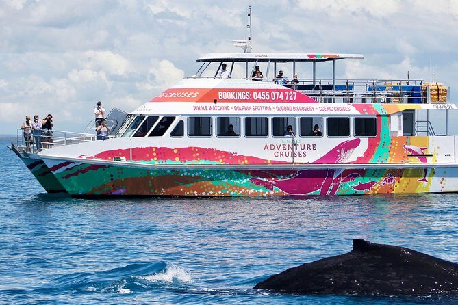 World class Whale Watching from Hervey Bay - What Makes This Tour Stand Out?
