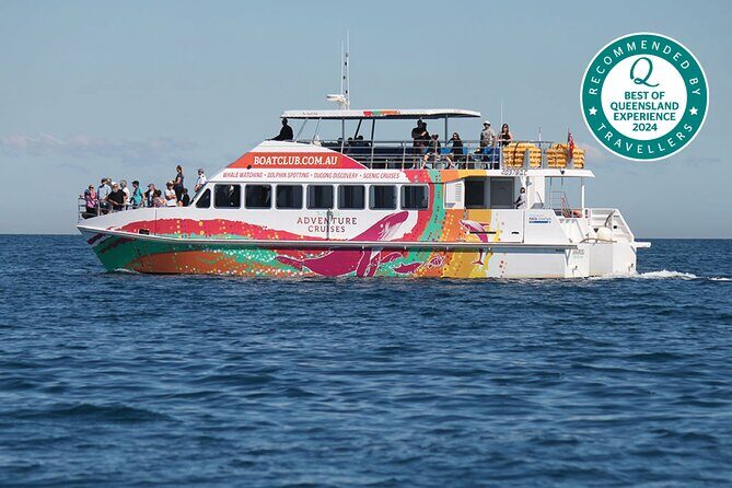 World class Whale Watching from Hervey Bay - The Price: Is It Worth It?