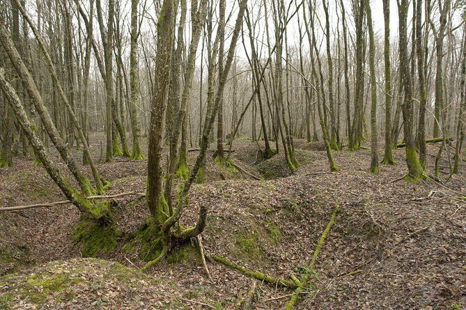 World War 1 Walk Through Trenches and Bunkers - Key Points