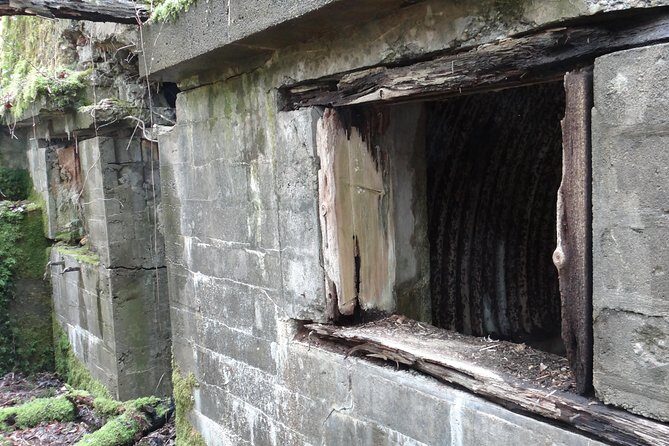 World War 1 Walk Through Trenches and Bunkers - Final Thoughts: Is This the Right Tour for You?