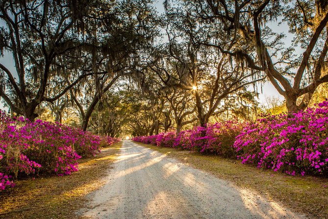 Wormsloe Historic Site & Bonaventure Cemetery Tour From Savannah - Additional Information