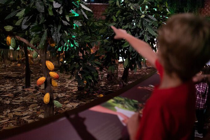 WOW Ticket: The Chocolate Experience by 20|20 - Who Will Enjoy This Tour?