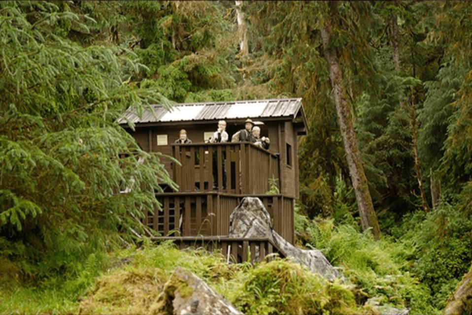 Wrangell: Anan Bear and Wildlife Viewing Adventure - Meeting Point