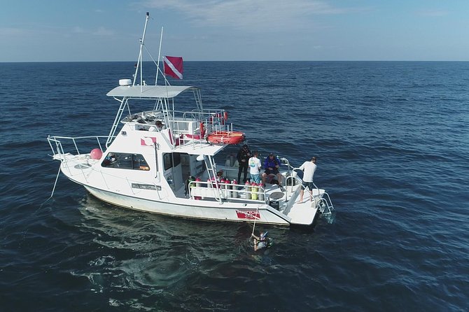 Wreck and Bridge Span Dive Charter for Certified Divers - Reviews