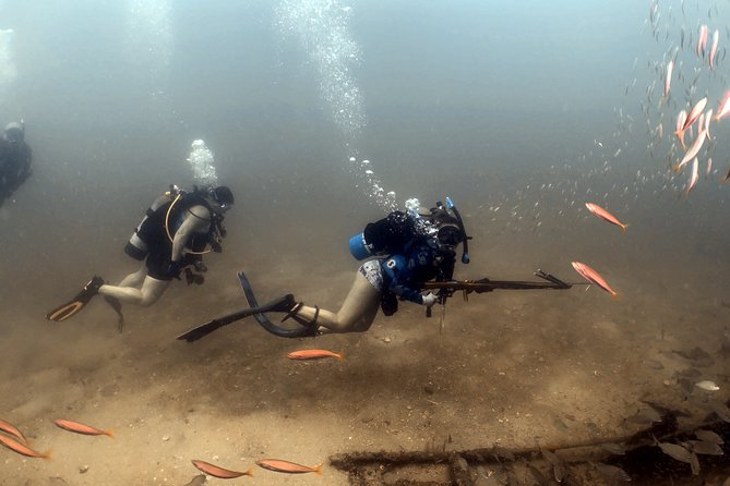 Wreck and Bridge Span Dive Charter for Certified Divers - Additional Information