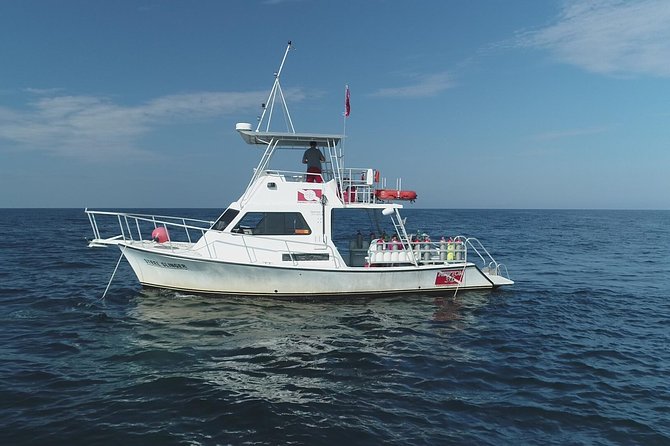 Wreck and Bridge Span Dive Charter for Certified Divers - Safety Guidelines