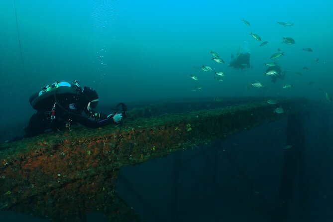 Wreck and Bridge Span Dive Charter for Certified Divers - What to Expect