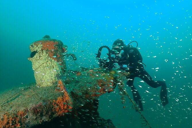 Wreck and Bridge Span Dive Charter for Certified Divers - Frequently Asked Questions