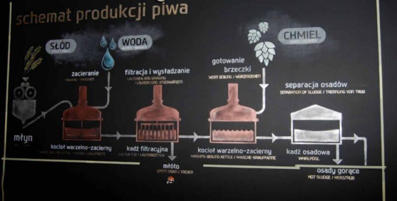 Wroclaw: Guided Tour & Beer Tasting (2 hours) - Who Will Love This Tour?