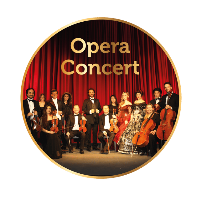 Wroclaw: Vienna Opera Gala - What Is the Vienna Opera Gala in Wroclaw?