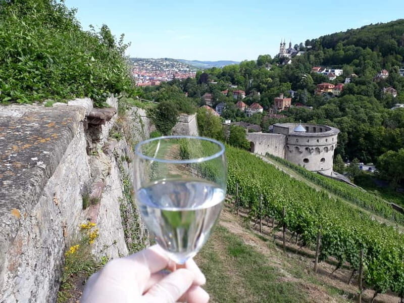 Wuerzburg: Vineyard rally with wine tasting and group dynamics - Key Points