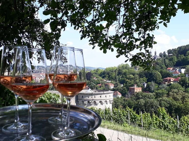 Wuerzburg: Vineyard rally with wine tasting and group dynamics - Discovering Würzburg’s Vineyard Rally
