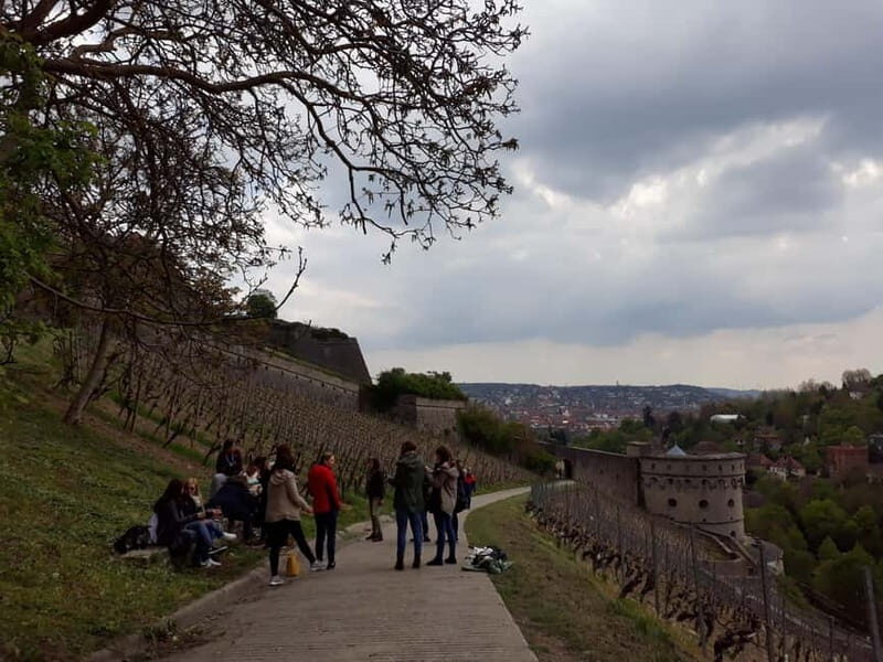 Wuerzburg: Vineyard rally with wine tasting and group dynamics - Practical Details: What You Need to Know
