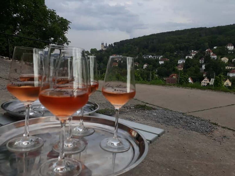 Wuerzburg: Vineyard rally with wine tasting and group dynamics - The Sum Up