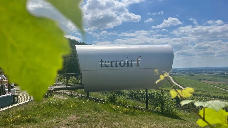 Würzburg: Excursion to the vineyards - enjoyable wine hike & tasting - A Detailed Look at the Experience