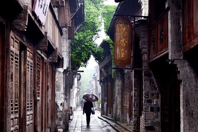 Wuzhen and Xitang Water Town Private Full Day Trip From Shanghai With Lunch and Dinner - Itinerary Overview