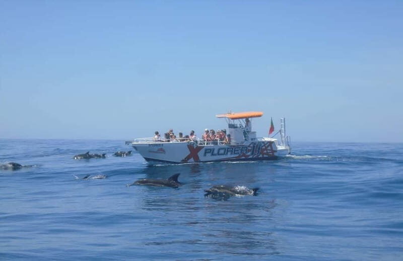 X Plorer  Caves (Benagil) & Dolphins Cruise - Exploring the Algarve Coast: A Deeper Look