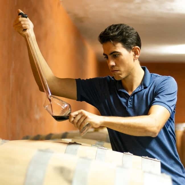 Xalo: Vineyard Tour with Wine Tasting and Snacks - Why This Tour Offers Great Value