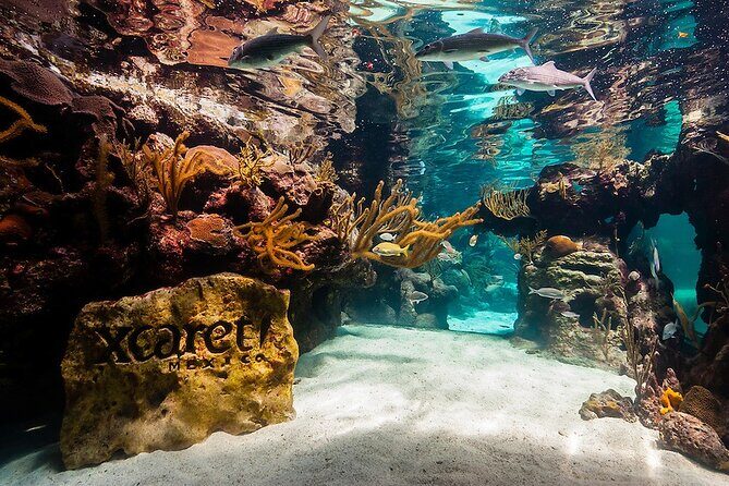 Xcaret Park! Nightshow, Underground River & Transportation - FAQ – Your Practical Questions Answered