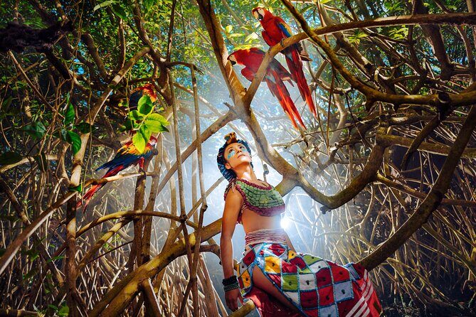 Xcaret Park Plus Access with Transportation and Night Show - Introduction: What This Tour Offers