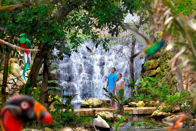 Xcaret Park Plus Access with Transportation and Night Show - Practical Tips to Maximize Your Experience