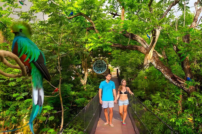 Xcaret Park Plus Tour! Nature, Culture and Nightshow From Cancun - Inclusions