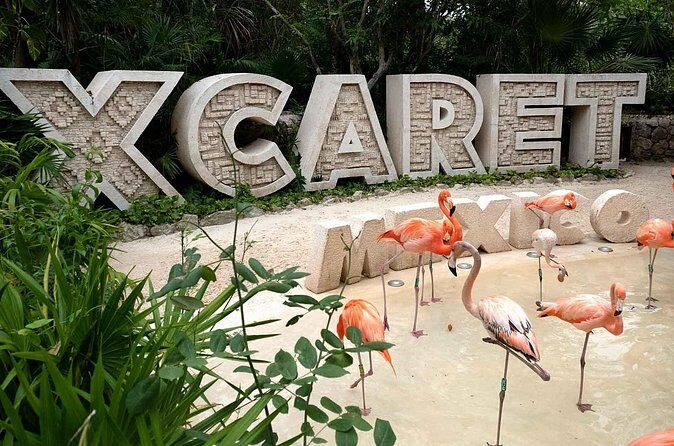 Xcaret Plus Full Day Tour - Authentic Experiences and Customer Feedback