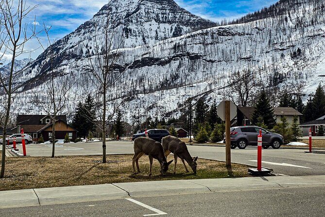 Xclusive Wonders of Waterton Your Private Journey of NaturesBest - The Itinerary in Detail: What to Expect