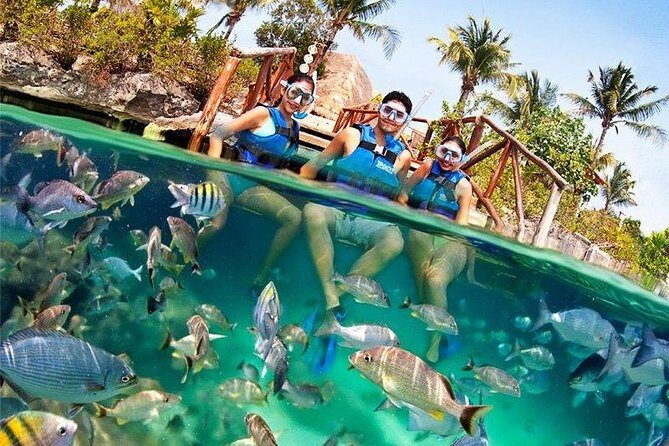 Xel-Ha All Inclusive Admission Ticket - Who Is This Tour For?