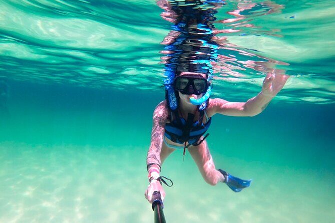 Xel-Ha All Inclusive Admission Ticket - The Sum Up: The Practical Verdict