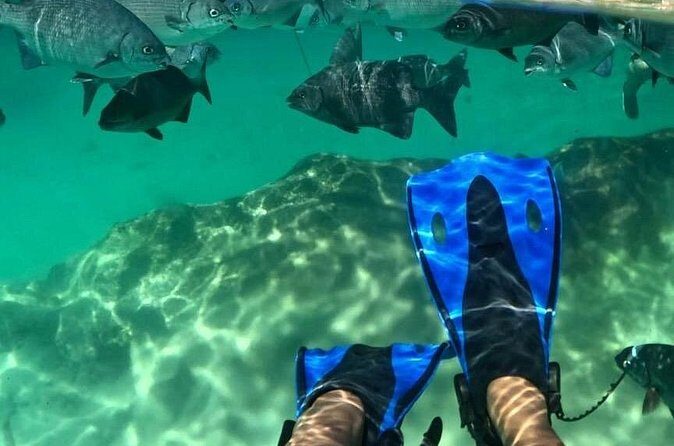 Xel-ha All Inclusive Tour - FAQ