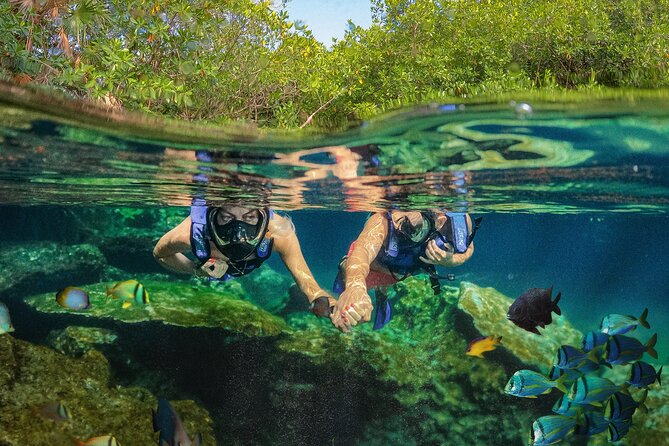 Xel-Ha Park Admission Tickets-Food, Beverages & Open Bar Included - Aquatic Activities and Experiences